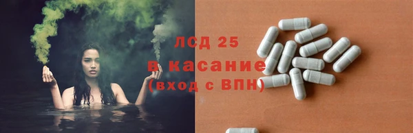 СК Аркадак