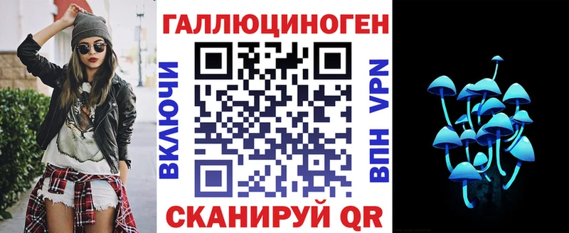 Купить закладки  Вилючинск  Галлюциногенные грибы GOLDEN TEACHER 